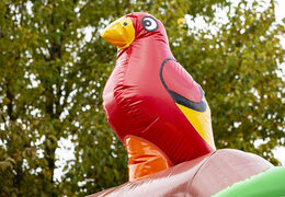 Castello gonfiabile a tema pirata con scivolo gonfiabile in vendita su JB Gonfiabili Italia. Acquista castelli gonfiabili con scivolo per bambini