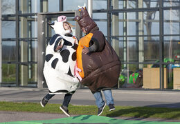 Ordina tute da sumo gonfiabili a tema Cow & Bull per grandi e piccini. Acquista tute da sumo gonfiabili online su JB Gonfiabili Italia