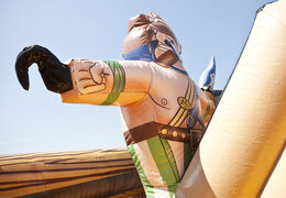 Acquista uno spettacolare scivolo gonfiabile a forma di nave pirata con fantastici oggetti 3D e stampe a colori per i bambini. Ordina ora gli scivoli gonfiabili online su JB Gonfiabili Italia