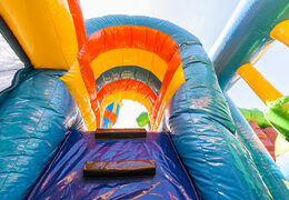  Acquistare un gioco gonfiabile multiattività con scivolo e ostacoli con il tema fairytale