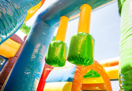  Acquistare un gioco gonfiabile multiattività con scivolo e ostacoli con il tema fairytale