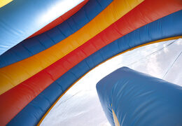 Acquista uno scivolo gonfiabile 4 in 1 con scivolo e gonfiabile con ostacoli con il tema delfino