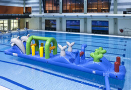 Acquista una piscina ermetica a tema delfino con oggetti ostacoli impegnativi per i bambini. Ordina ora i percorsi ad ostacoli gonfiabili online su JB Gonfiabili Italia