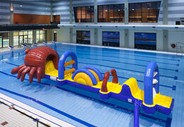 Ordina l'esclusiva corsa a ostacoli gonfiabile a tema granchio con oggetti ostacoli impegnativi per grandi e piccini. Acquista ora le attrazioni acquatiche gonfiabili online su JB Gonfiabili Italia