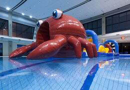 Corsa a ostacoli gonfiabile unica a tema granchio con oggetti ostacoli impegnativi per grandi e piccini. Acquista ora le attrazioni acquatiche gonfiabili online su JB Gonfiabili Italia