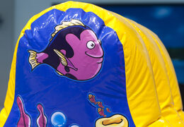 Acquista un'avventura gonfiabile ermetica nel mondo del mare per grandi e piccini. Ordina ora i giochi gonfiabili in piscina online su JB Gonfiabili Italia