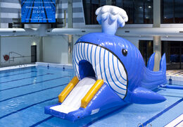 Acquista Corsa a ostacoli ermetica a tema balena con oggetti ostacoli impegnativi per bambini. Ordina ora i percorsi ad ostacoli gonfiabili online su JB Gonfiabili Italia