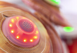 Batteria gonfiabile con sistema di gioco interattivo in vendita