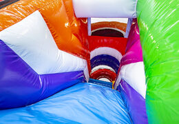  Acquistare un gioco gonfiabile multiattività con scivolo e ostacoli con il tema fenicottero