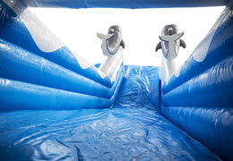 Ottieni subito online il tuo scivolo gonfiabile delfino con i colori allegri, gli oggetti 3D e la divertente stampa sulla parete laterale. Ordina gli scivoli gonfiabili da JB Gonfiabili Italia