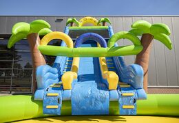 Acquistare un parco acquatico gonfiabile funcity con scivolo, ostacoli e arrampicata con il tema pirata