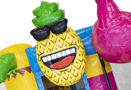 Ordina mini castello gonfiabile multigiocatore a tema fenicottero con scivolo per bambini. Castelli gonfiabili con scivolo in vendita su JB Gonfiabili Italia