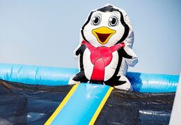 Acquistare un parco gonfiabile completo con ostacoli e scivolo con il tema frozen