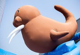 Acquistare un parco gonfiabile completo con ostacoli e scivolo con il tema frozen