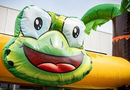 Acquistare un parco gonfiabile completo con ostacoli e scivolo con il tema giungla