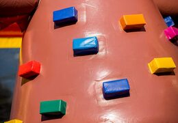 Ordina un castello gonfiabile dei pirati multigiocatore coperto con un'altezza limitata di 2,74 metri e con uno scivolo per grandi e piccini. Acquista castelli gonfiabili online su JB Gonfiabili Italia