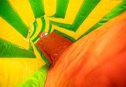 Acquistare un gioco gonfiabile tunnel per bambini con ostacoli e scivolo, tema giungla.