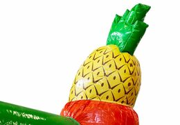 Acquista scatola per diapositive coperta castello gonfiabile Hawaii con scivolo per bambini. Ordina le castelli gonfiabili online su JB Gonfiabili Italia