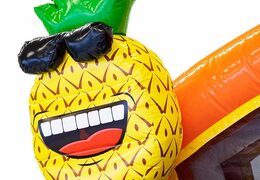 Acquistare un gioco gonfiabile per bambini con scivolo e piscina con il tema fenicottero