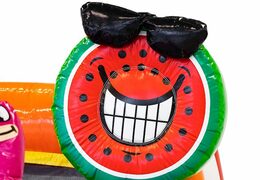 Acquistare un gioco gonfiabile per bambini con scivolo e piscina con il tema fenicottero