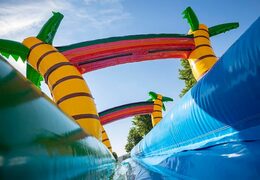 Acquista il castello gonfiabile Drop & Slide Jungle con doppio scivolo per bambini. Ordina i castelli gonfiabili online su JB Gonfiabili Italia
