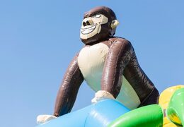 Ordina un saltarelli gonfiabili medio della giungla in colori sorprendenti con un grande oggetto 3D a forma di gorilla sulla parte superiore per i bambini. Castello gonfiabile medio in vendita online su JB Gonfiabili Italia