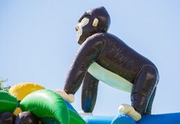 Acquista un saltarelli gonfiabili medio giungla standard in colori sorprendenti con un grande oggetto 3D gorilla sulla parte superiore per i bambini. Ordina i castello gonfiabile medio online su JB Gonfiabili Italia