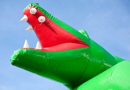 Ordina i saltarelli gonfiabili medio unici di coccodrillo con un oggetto 3D in cima per i bambini. Acquista castello gonfiabile medio online su JB Gonfiabili Italia