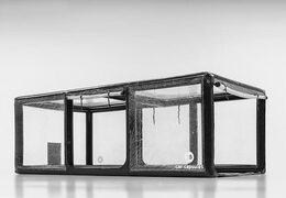 Acquista una capsula per auto gonfiabile per riporre i veicoli