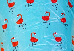 Opblaasbaar luchtkussen met glijbaan in summer party thema kopen voor kinderen