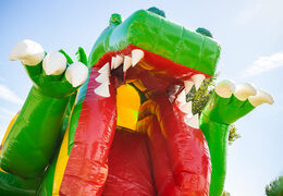 Vendo cuscino gonfiabile multigiocatore con scivolo in tema dinosauro giallo verde