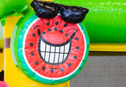 Ordina un grande castello gonfiabile gonfiabile a tema Flamingo per bambini. Acquista gonfiabili online su JB Gonfiabili Italia