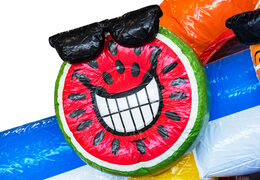 Ordina il castello gonfiabile Mini Multiplay gonfiabile a tema Fenicottero per bambini. Acquista castelli gonfiabili gonfiabili da JB Gonfiabili Italia