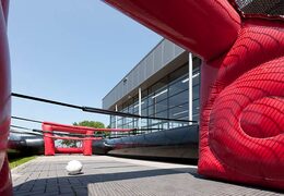 Acquista calcio balilla online in modo diverso