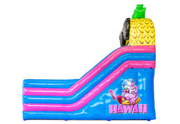 Ordina castello gonfiabile con scivolo a tema Hawaii da JB Inflatables