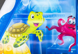 Modulo percorso ad ostacoli base jump animali marini