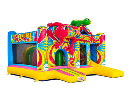 Lato del Multiplay Ibiza rosa verde salamandre