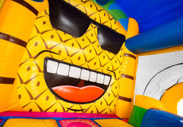 Grande ananas nel castello gonfiabile bouncy box Hawaii in vendita presso JB Inflatables