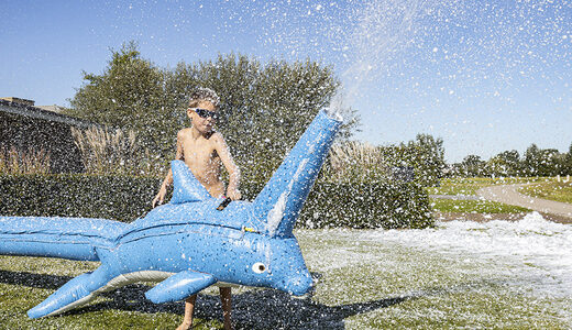 Acquista un cannone gonfiabile spara schiuma per le tue feste schiuma con il tema delfino