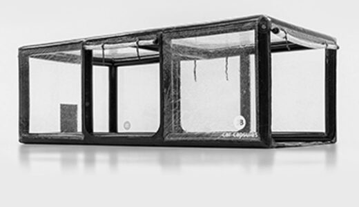 Acquista JB Showcase gonfiabile per l'uso dei veicoli