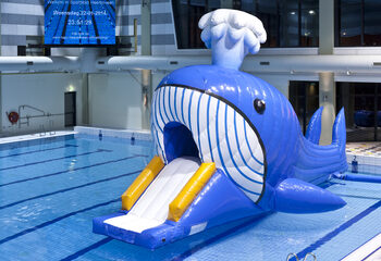 Acquista Corsa a ostacoli ermetica a tema balena con oggetti ostacoli impegnativi per bambini. Ordina ora i percorsi ad ostacoli gonfiabili online su JB Gonfiabili Italia