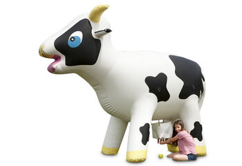 Limonade Koe Opblaasbaar