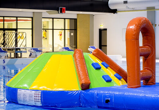 Ottieni uno scivolo gonfiabile a tema delfino per grandi e piccini. Ordina ora i giochi gonfiabili in piscina online su JB Gonfiabili Italia