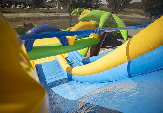 Acquistare un parco acquatico gonfiabile funcity con scivolo, ostacoli e arrampicata con il tema pirata