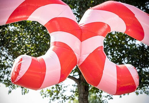 Acquistare un parco gonfiabile completo con ostacoli e scivolo con il tema circo