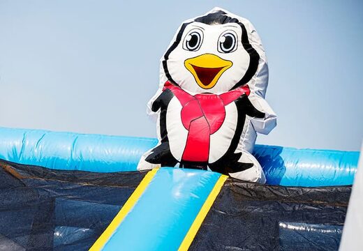 Acquistare un parco gonfiabile completo con ostacoli e scivolo con il tema frozen