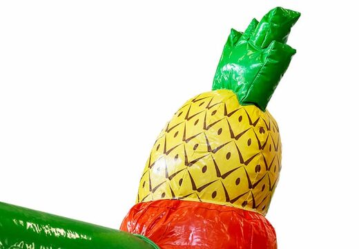 Acquista scatola per diapositive coperta castello gonfiabile Hawaii con scivolo per bambini. Ordina le castelli gonfiabili online su JB Gonfiabili Italia