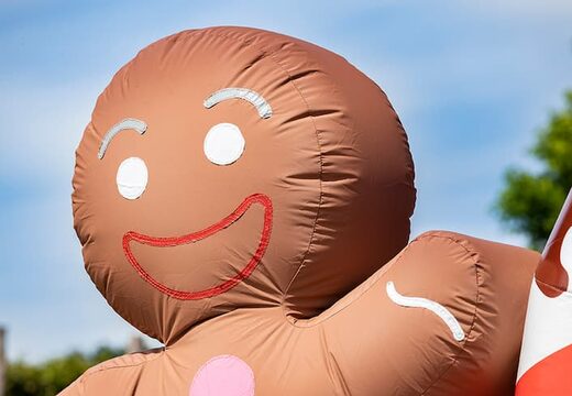 Acquistare un boarding gonfiabile con schiuma per le feste schiuma con il tema Caramelle