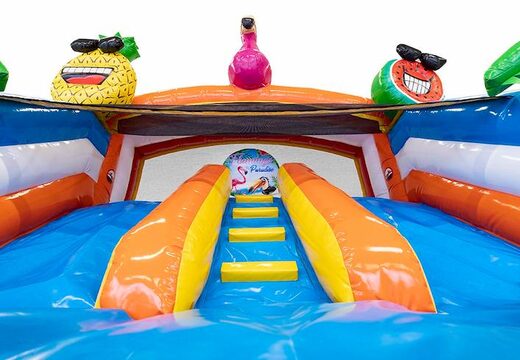 Acquistare un gioco gonfiabile per bambini con scivolo e piscina con il tema fenicottero
