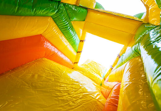 Mini cuscino d'aria gonfiabile Multiplay in vendita a tema Leone per bambini. Ordina cuscini d'aria gonfiabili da JB Gonfiabili Italia